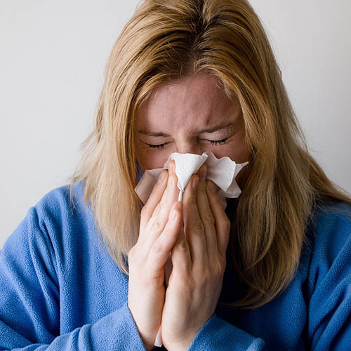 Vue interieure de la Pharmacie Pernot
